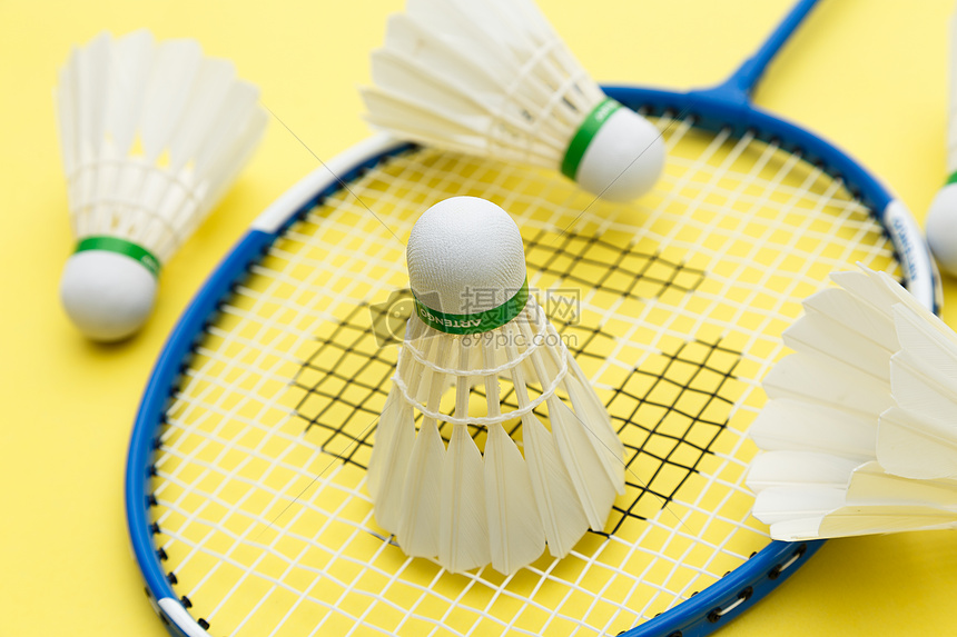 故意让球员 故意让球员