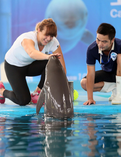 麟洋组合的 麟洋组合的