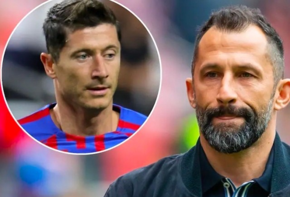 例是日本花 例是日本花